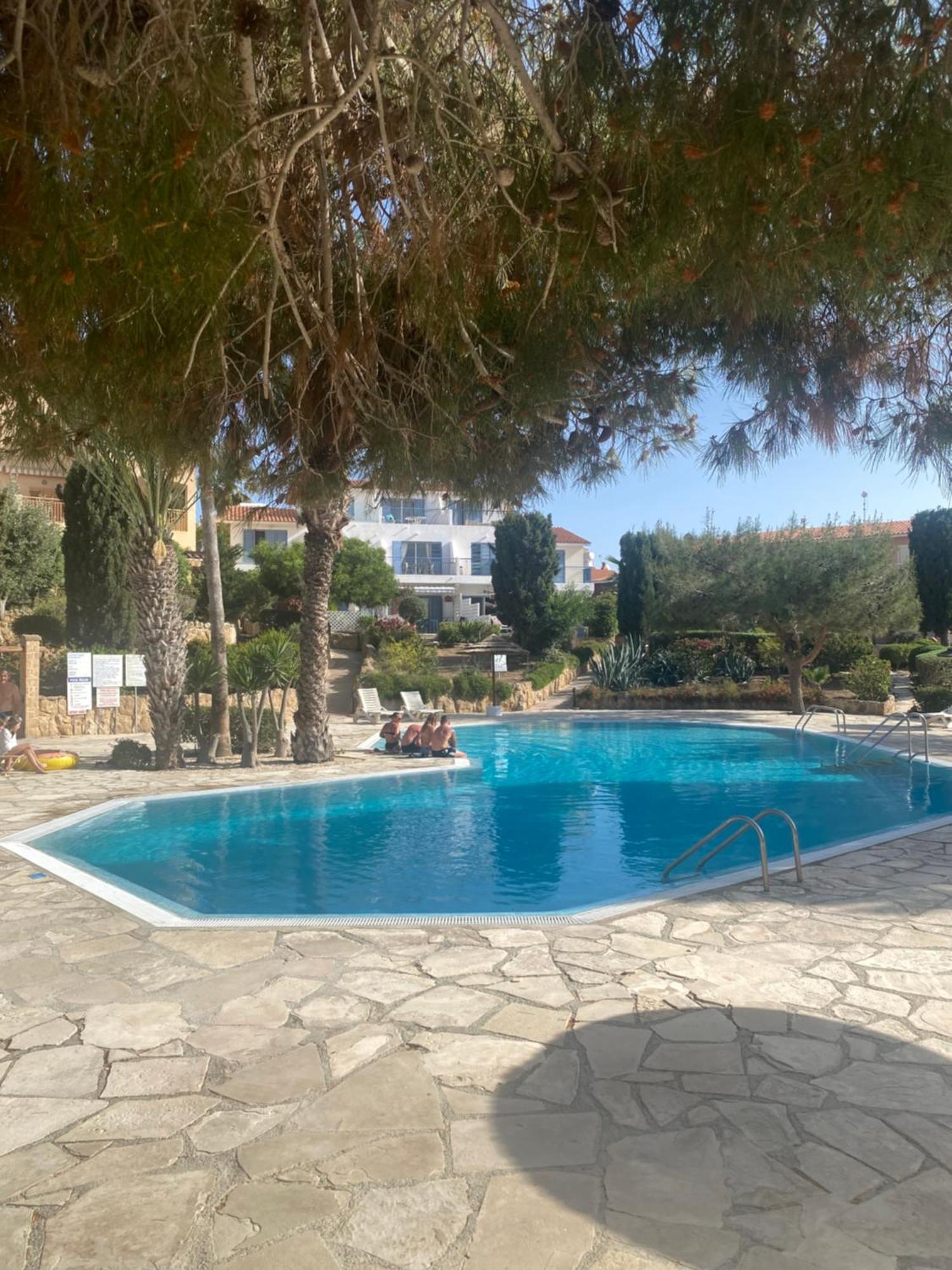 Newly Renovated- Regina Gardens 1, Venus Beach 500 M, Sea&Sunsets View, License Ooo7141 Paphos 外观 照片