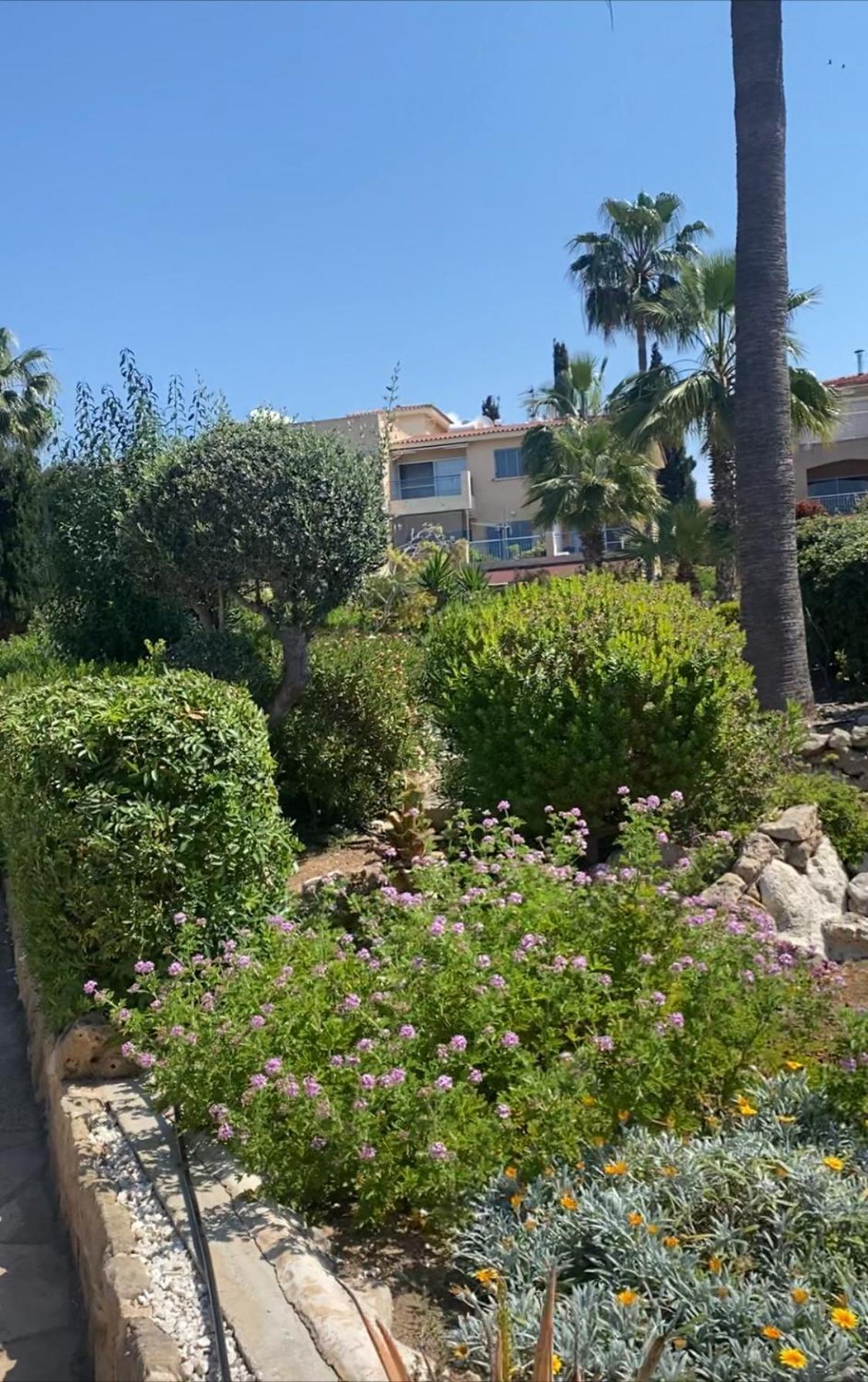 Newly Renovated- Regina Gardens 1, Venus Beach 500 M, Sea&Sunsets View, License Ooo7141 Paphos 外观 照片