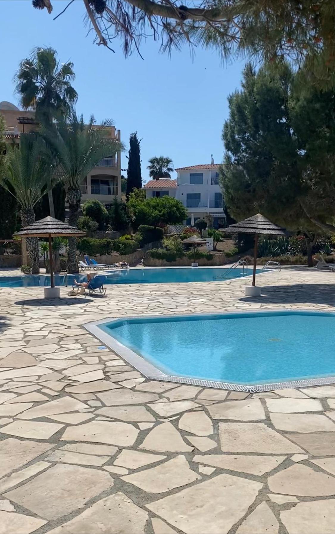 Newly Renovated- Regina Gardens 1, Venus Beach 500 M, Sea&Sunsets View, License Ooo7141 Paphos 外观 照片