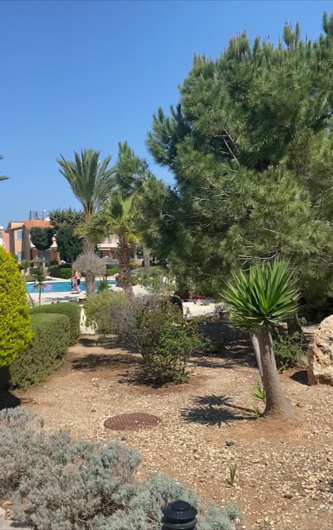 Newly Renovated- Regina Gardens 1, Venus Beach 500 M, Sea&Sunsets View, License Ooo7141 Paphos 外观 照片