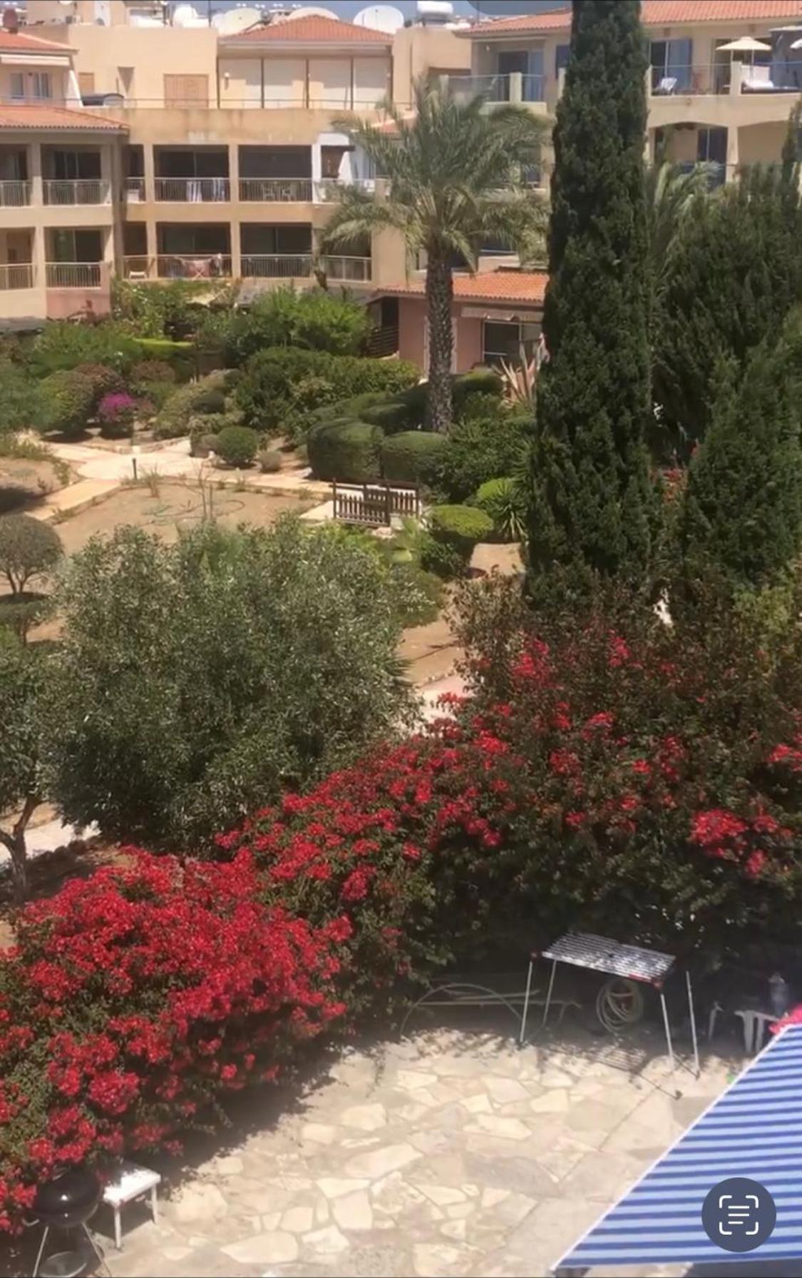 Newly Renovated- Regina Gardens 1, Venus Beach 500 M, Sea&Sunsets View, License Ooo7141 Paphos 外观 照片