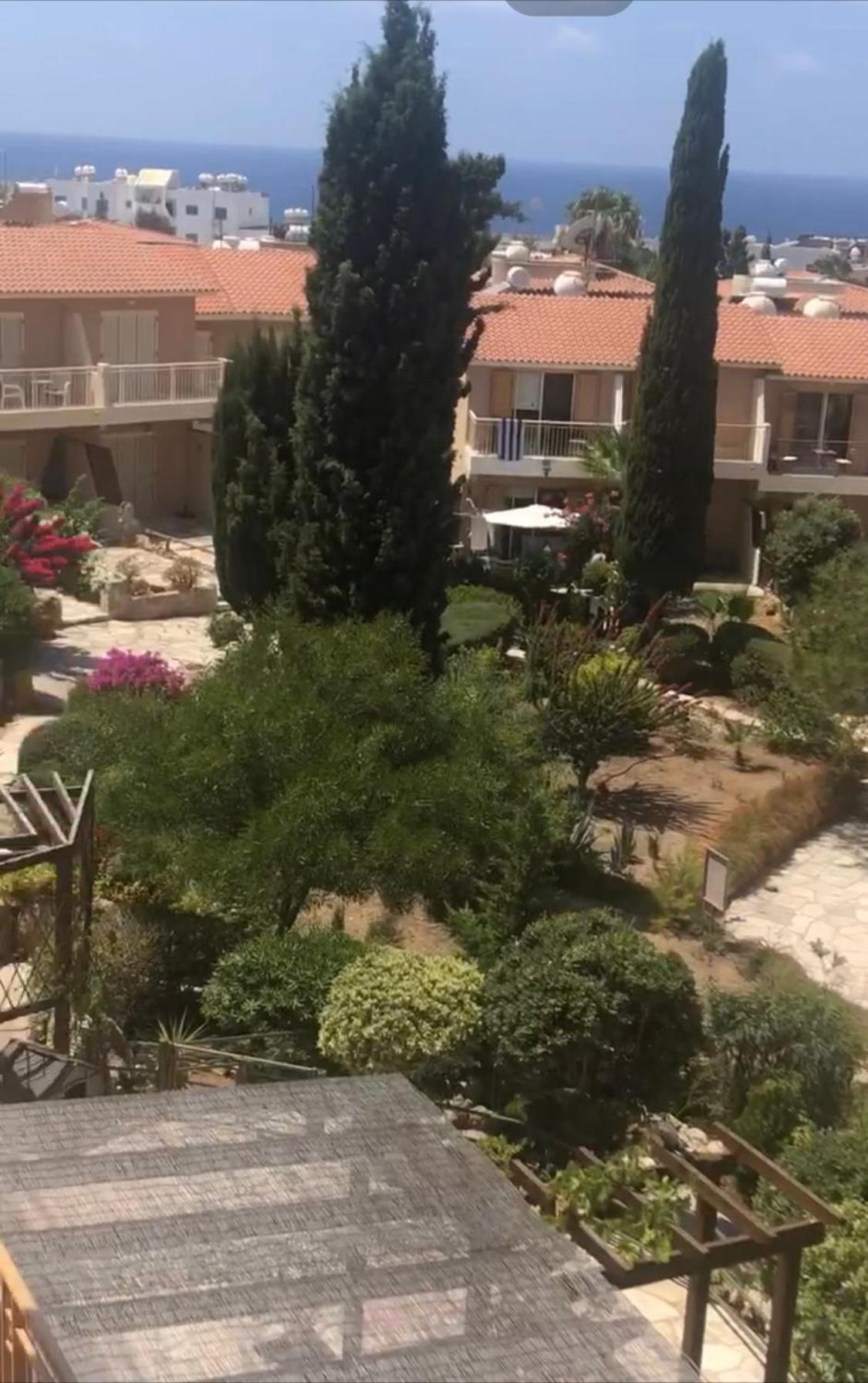 Newly Renovated- Regina Gardens 1, Venus Beach 500 M, Sea&Sunsets View, License Ooo7141 Paphos 外观 照片