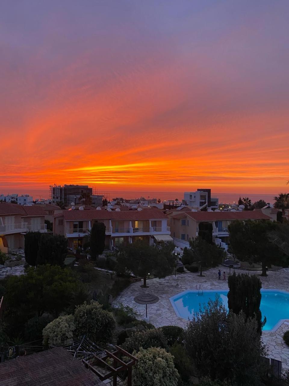 Newly Renovated- Regina Gardens 1, Venus Beach 500 M, Sea&Sunsets View, License Ooo7141 Paphos 外观 照片