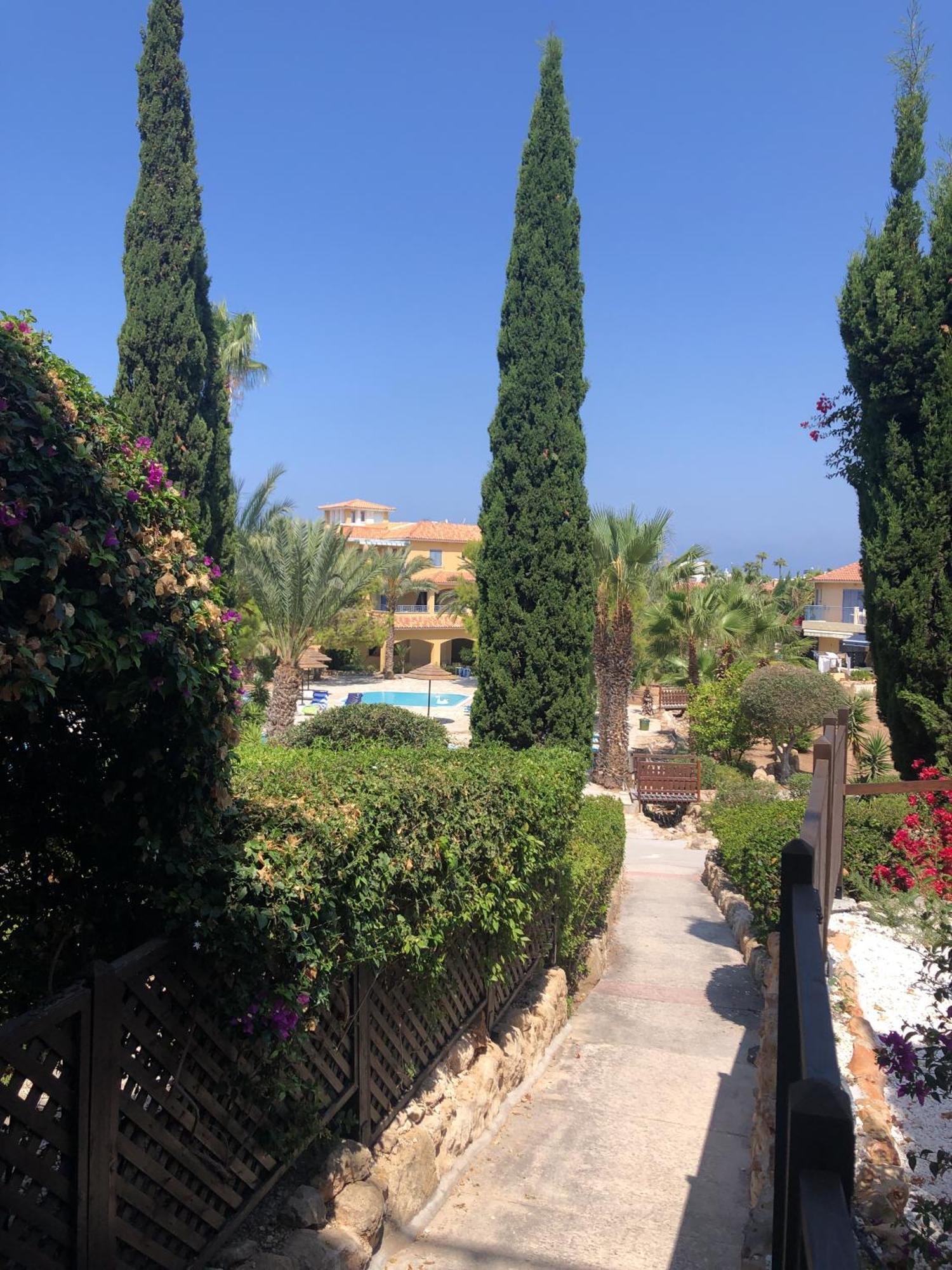 Newly Renovated- Regina Gardens 1, Venus Beach 500 M, Sea&Sunsets View, License Ooo7141 Paphos 外观 照片
